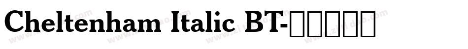 Cheltenham Italic BT字体转换